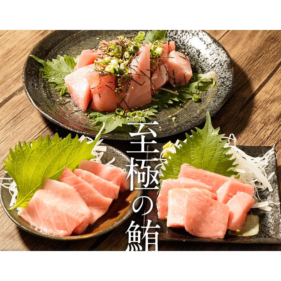 まぐろ三昧 3種 赤身 中トロ 大トロ 本鮪 メガ盛り700g マグロ 鮪 刺身 在宅 母の日 父の日 敬老 歳末 お歳暮 年末グルメ 贈答 迎春 | おさかな問屋 魚奏 | 01