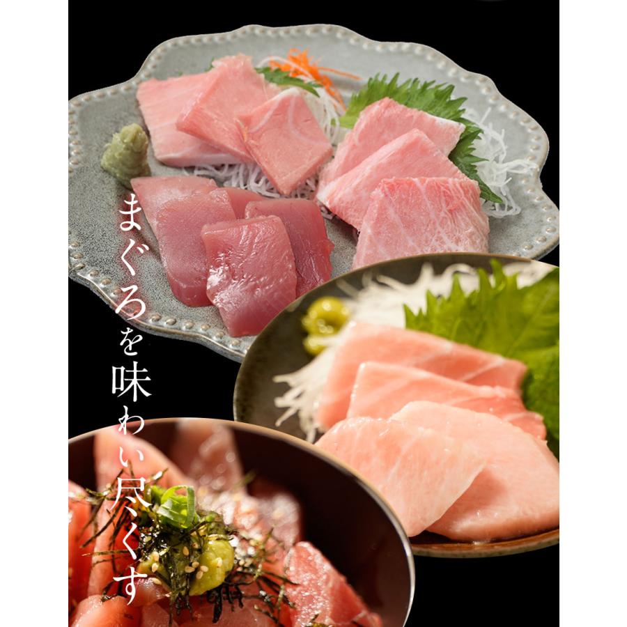 まぐろ三昧 3種 赤身 中トロ 大トロ 本鮪 メガ盛り700g マグロ 鮪 刺身 在宅 母の日 父の日 敬老 歳末 お歳暮 年末グルメ 贈答 迎春 | おさかな問屋 魚奏 | 04