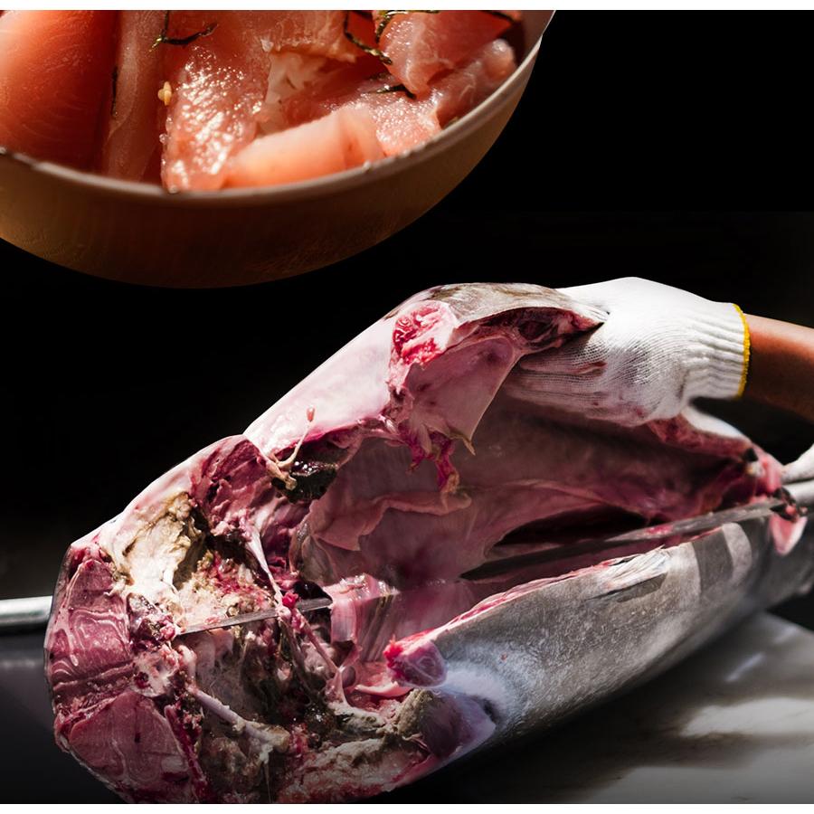 まぐろ三昧 3種 赤身 中トロ 大トロ 本鮪 メガ盛り700g マグロ 鮪 刺身 在宅 母の日 父の日 敬老 歳末 お歳暮 年末グルメ 贈答 迎春 | おさかな問屋 魚奏 | 05