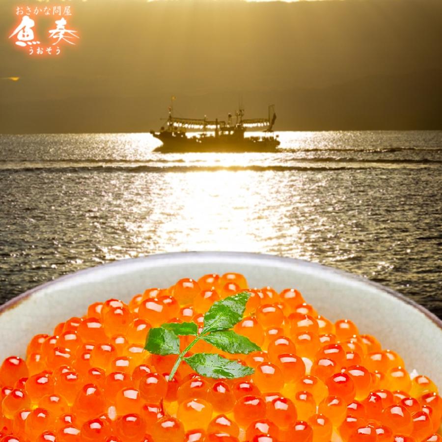 イクラ いくら醤油漬け 500g 鮭子 北海道産 国産 本いくら 業務用 母の日 父の日 敬老 在宅応援 歳末 お歳暮 年末グルメ 贈答 迎春 | おさかな問屋 魚奏 | 01