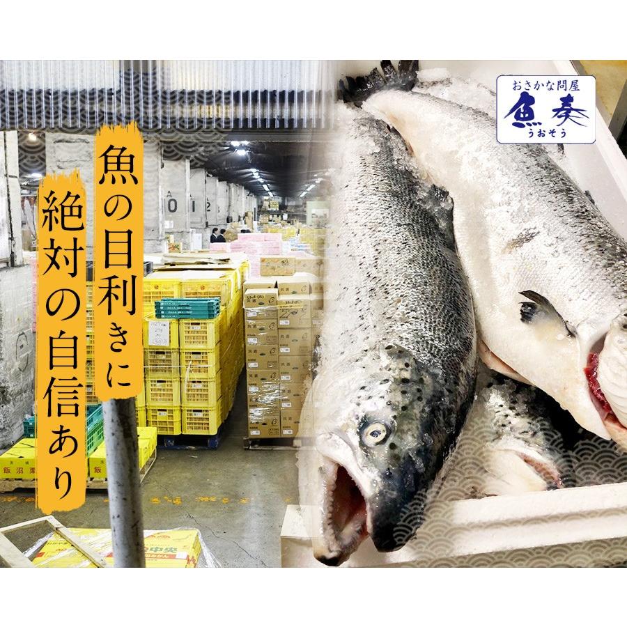 サーモン ネギトロ 冷凍 40g×6パック 個食 お取り寄せ ねぎとろ 海鮮 お試し 在宅 母の日 父の日 歳末 お歳暮 年末グルメ 贈答 迎春 | おさかな問屋 魚奏 | 08