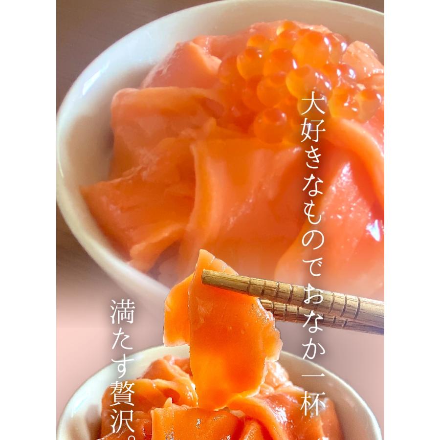 訳あり サーモン 切り落とし 500g たっぷり メガ盛り 切落し 生食用 海鮮 お試し 在宅 母の日 父の日 歳末 お歳暮 年末グルメ 贈答 迎春 | おさかな問屋 魚奏 | 12