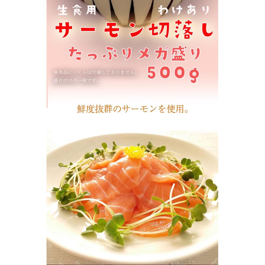 訳あり サーモン 切り落とし 500g たっぷり メガ盛り 切落し 生食用 海鮮 お試し 在宅 母の日 父の日 歳末 お歳暮 年末グルメ 贈答 迎春 | おさかな問屋 魚奏 | 02