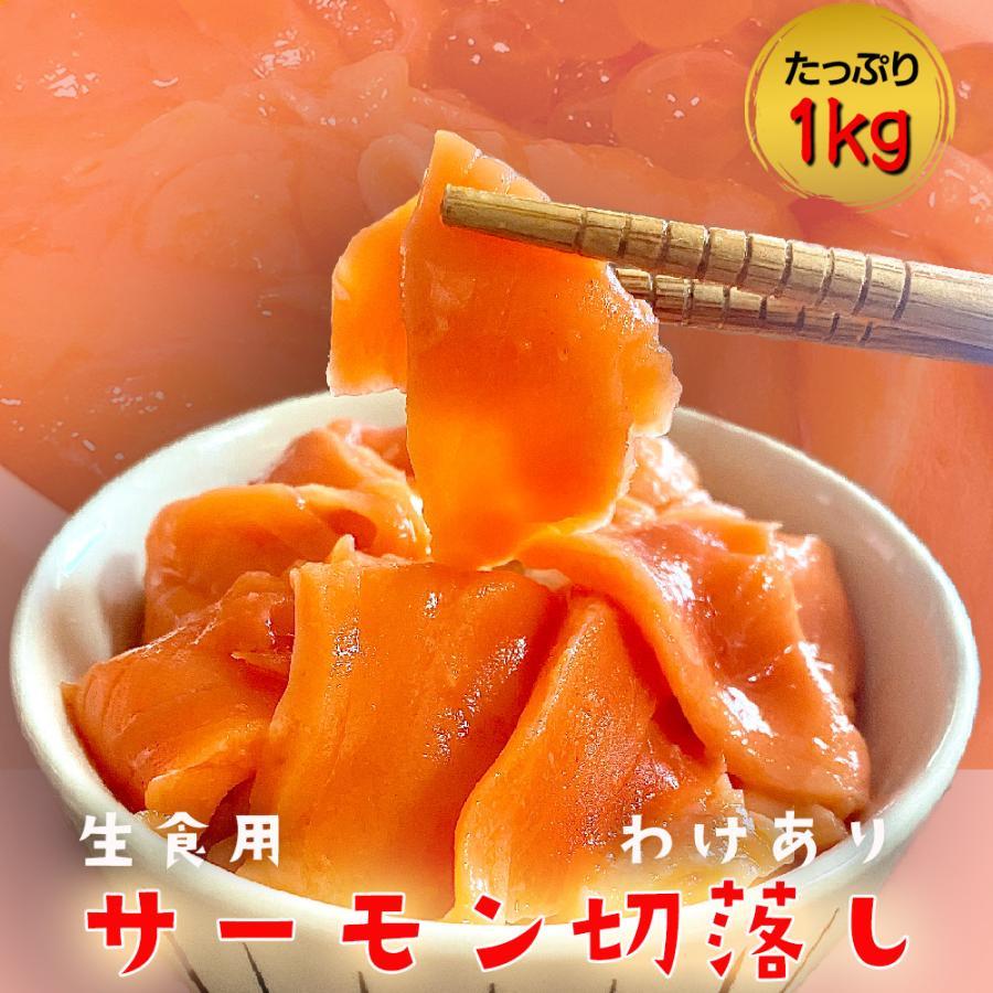 訳あり サーモン 切り落とし 1kg たっぷり メガ盛り 切落し 生食用 海鮮 お試し 在宅 母の日 父の日 歳末 お歳暮 年末グルメ 贈答 迎春 | おさかな問屋 魚奏