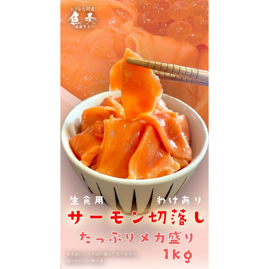訳あり サーモン 切り落とし 1kg たっぷり メガ盛り 切落し 生食用 海鮮 お試し 在宅 母の日 父の日 歳末 お歳暮 年末グルメ 贈答 迎春 | おさかな問屋 魚奏 | 01