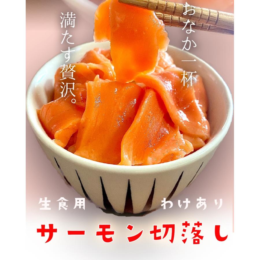 訳あり サーモン 切り落とし 1kg たっぷり メガ盛り 切落し 生食用 海鮮 お試し 在宅 母の日 父の日 歳末 お歳暮 年末グルメ 贈答 迎春 | おさかな問屋 魚奏 | 20