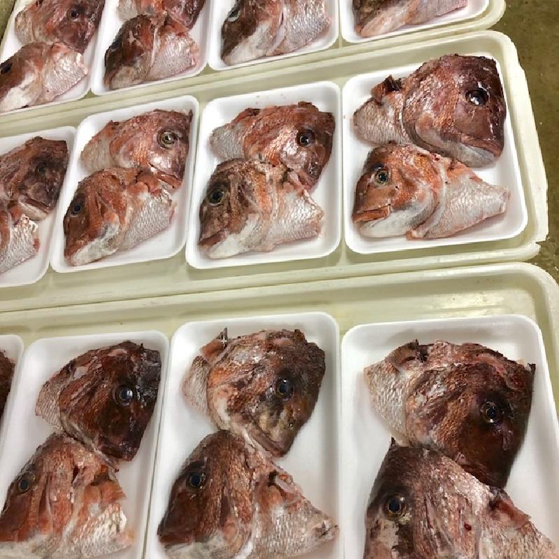 真鯛 お頭 ハーフカット 特大 2個 （2パック）鯛かぶと 鯛あら 鯛めし たい タイ タイ 鯛 愛媛産 冷凍 歳末 お歳暮 年末グルメ 贈答 迎春 | おさかな問屋 魚奏 | 11