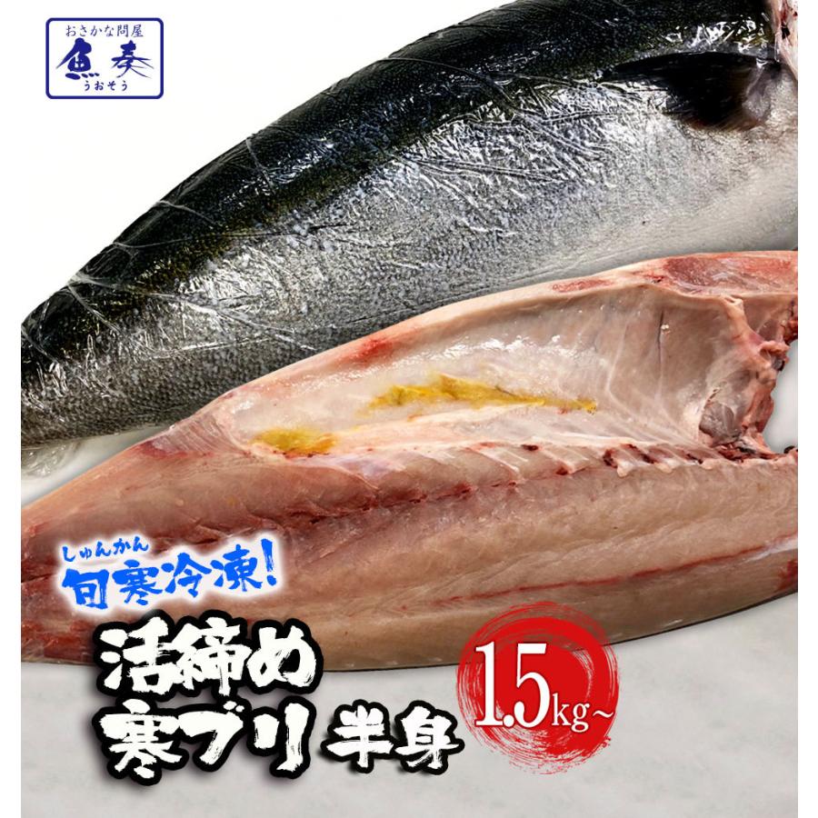 寒ブリ 半身 おろし済み 約1 5kg 九州産 お刺身用 冷凍配送 ぶり 鰤 ぶりしゃぶ 照焼き 忘年会 お歳暮 業務用 食品 おかず お弁当 Harf2 おさかな問屋 魚奏 通販 Yahoo ショッピング