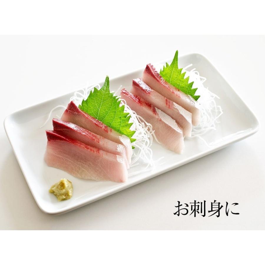 寒ブリ 半身 おろし済み 約1.5kg〜 九州産 お刺身用 冷凍配送 ぶり 鰤 ぶりしゃぶ 照焼き 忘年会 歳末 お歳暮 年末グルメ 贈答 迎春 | おさかな問屋 魚奏 | 10