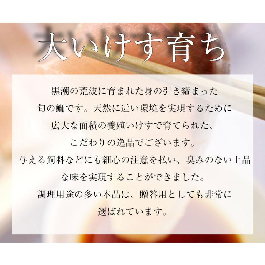 寒ブリ 半身 おろし済み 約1.5kg〜 九州産 お刺身用 冷凍配送 ぶり 鰤 ぶりしゃぶ 照焼き 忘年会 歳末 お歳暮 年末グルメ 贈答 迎春 | おさかな問屋 魚奏 | 04