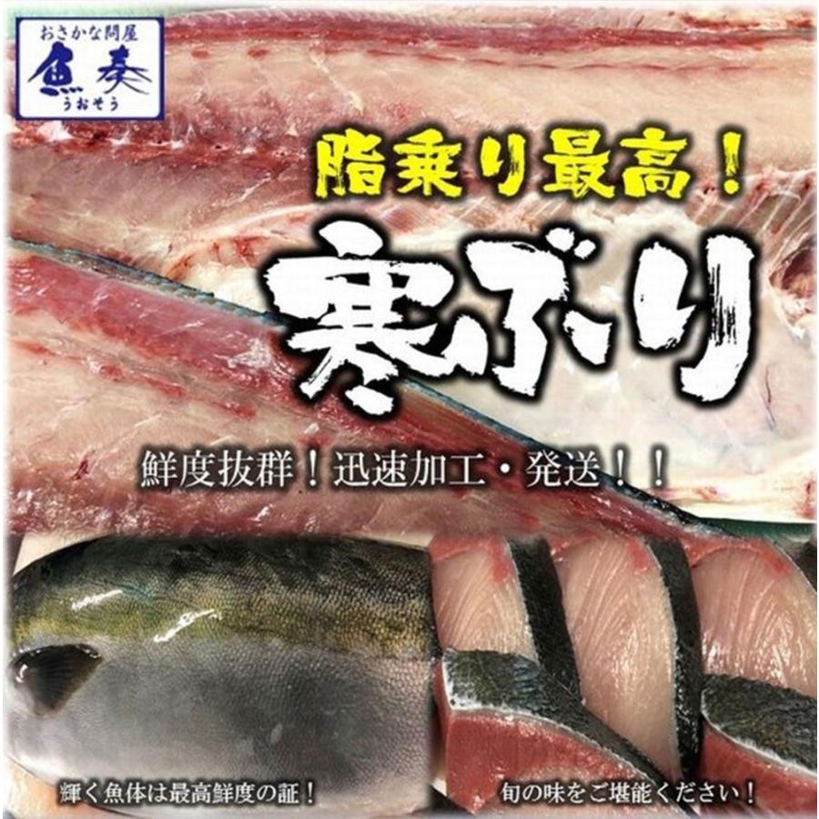 寒ブリ 半身 おろし済み 約1.5kg〜 九州産 お刺身用 冷凍配送 ぶり 鰤 ぶりしゃぶ 照焼き 忘年会 歳末 お歳暮 年末グルメ 贈答 迎春 | おさかな問屋 魚奏 | 05