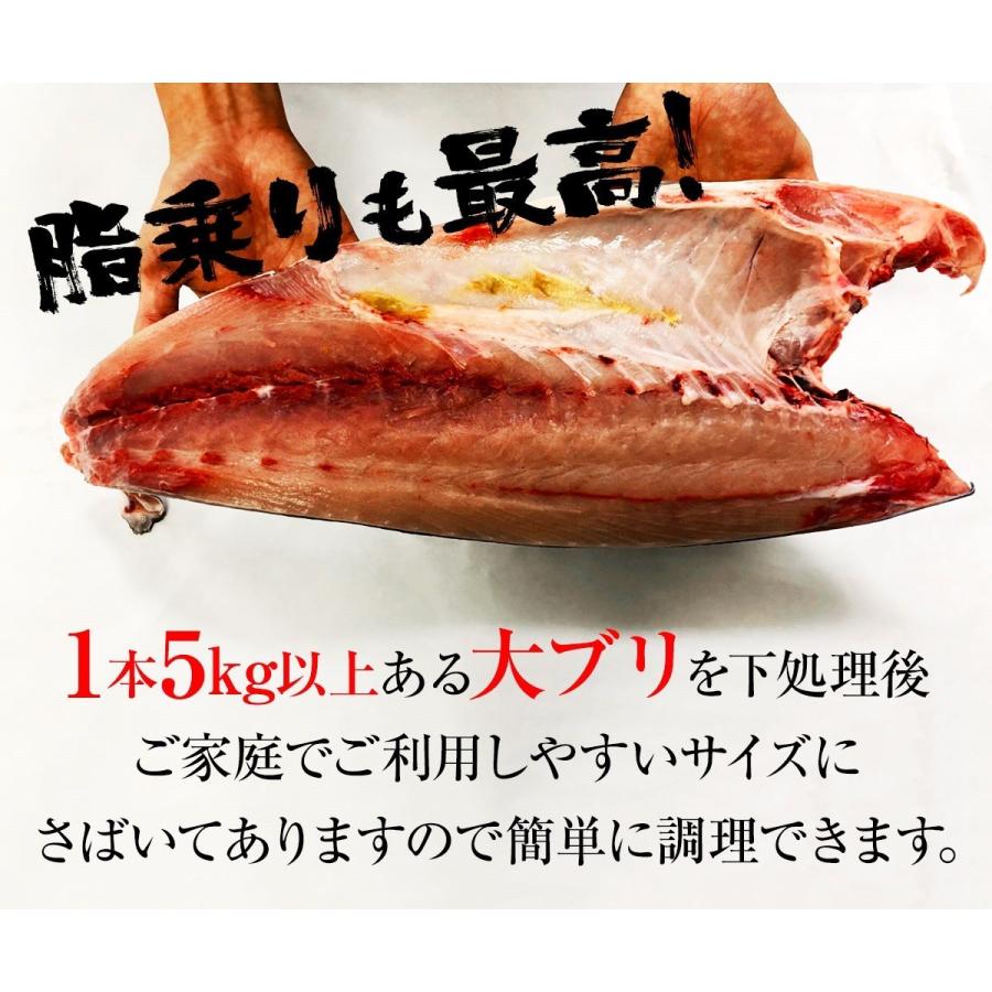 寒ブリ 半身 おろし済み 約1.5kg〜 九州産 お刺身用 冷凍配送 ぶり 鰤 ぶりしゃぶ 照焼き 忘年会 歳末 お歳暮 年末グルメ 贈答 迎春 | おさかな問屋 魚奏 | 07