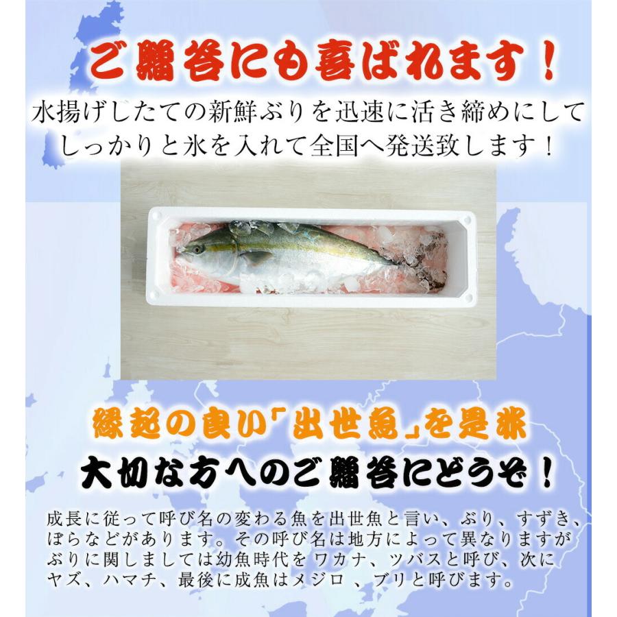 ぶり チルド 加工無し まるごと 1尾 約5kg 鹿児島 大分産 鰤 寒ブリ 嫁ぶり 刺身 ぶりしゃぶ 歳末 お歳暮 年末グルメ 贈答 迎春 | おさかな問屋 魚奏 | 05