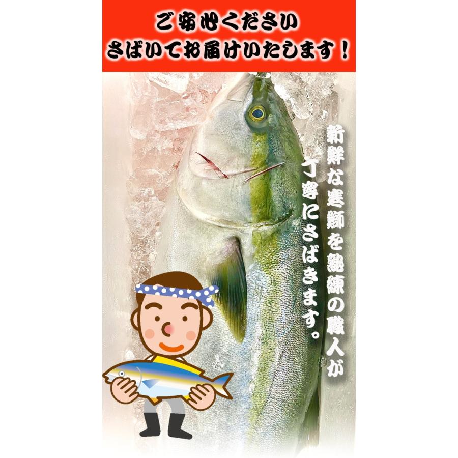 ぶり チルド さばき加工済み 1尾 約5kg 鹿児島 大分産 鰤 寒ブリ 嫁ぶり 刺身 ぶりしゃぶ ぶり照り お歳暮｜uosou｜06