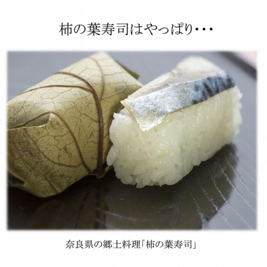 とろしめさば 国産 Lサイズ 片身真空 きずし 寒鯖 秋サバ 同梱推奨 何枚買っても送料一律 最安値 歳末 お歳暮 年末グルメ 贈答 迎春 | おさかな問屋 魚奏 | 09