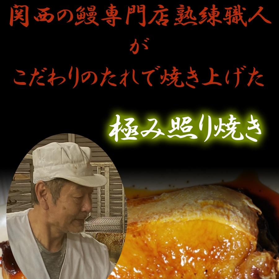 ぶり照焼き ブリ 鰤 約90g×2パック 厚切り 出世魚 おせち おかず 弁当 手間いらず 買い置き 同梱 歳末 お歳暮 年末グルメ 贈答 迎春 | おさかな問屋 魚奏 | 05