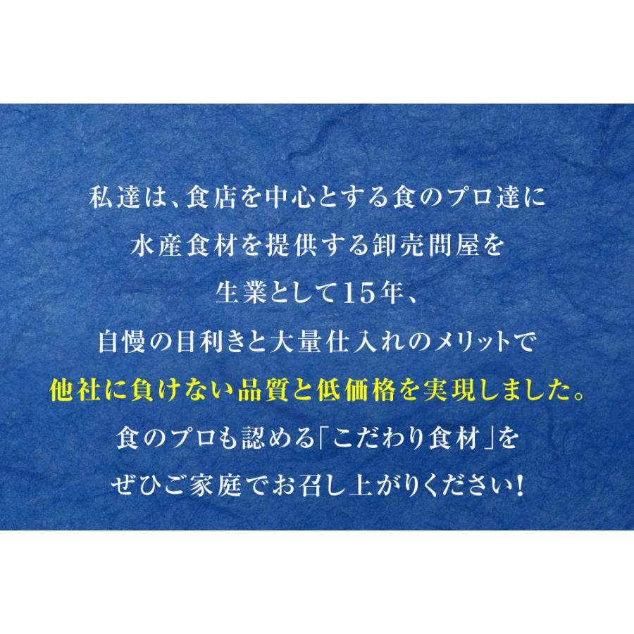 アジフライ あじフライ 特大10尾 惣菜 洋食 天然あじ おかず 弁当 手間いらず 買い置き 同梱 鯵 鰺 歳末 お歳暮 年末グルメ 贈答 迎春 | おさかな問屋 魚奏 | 09