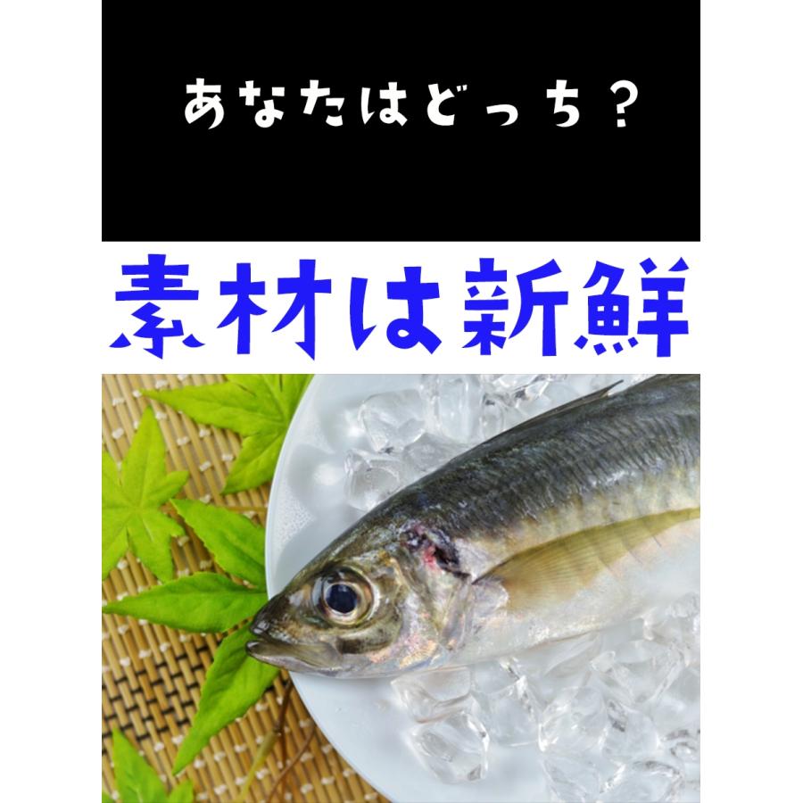 アジフライ あじフライ 特大10尾 惣菜 洋食 天然あじ おかず 弁当 手間いらず 買い置き 同梱 鯵 鰺 歳末 お歳暮 年末グルメ 贈答 迎春 | おさかな問屋 魚奏 | 07