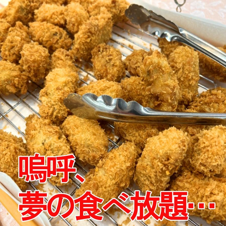 広島県産 牡蠣フライ 20粒入 かき カキフライ 500g 大粒 手仕込み 産直 同梱推奨 約25g×20個 袋ノ内 国産 安心 取り寄せ 産地直送 北吉水産｜uosou｜13