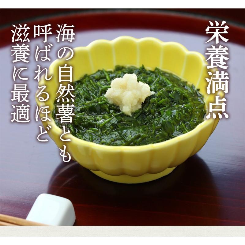 金華山沖 アカモク 100g 5セット 冷凍 無添加 無着色 保存料・化学調味料不使用 海藻 あかもく 歳末 お歳暮 年末グルメ 贈答 迎春 | おさかな問屋 魚奏 | 02