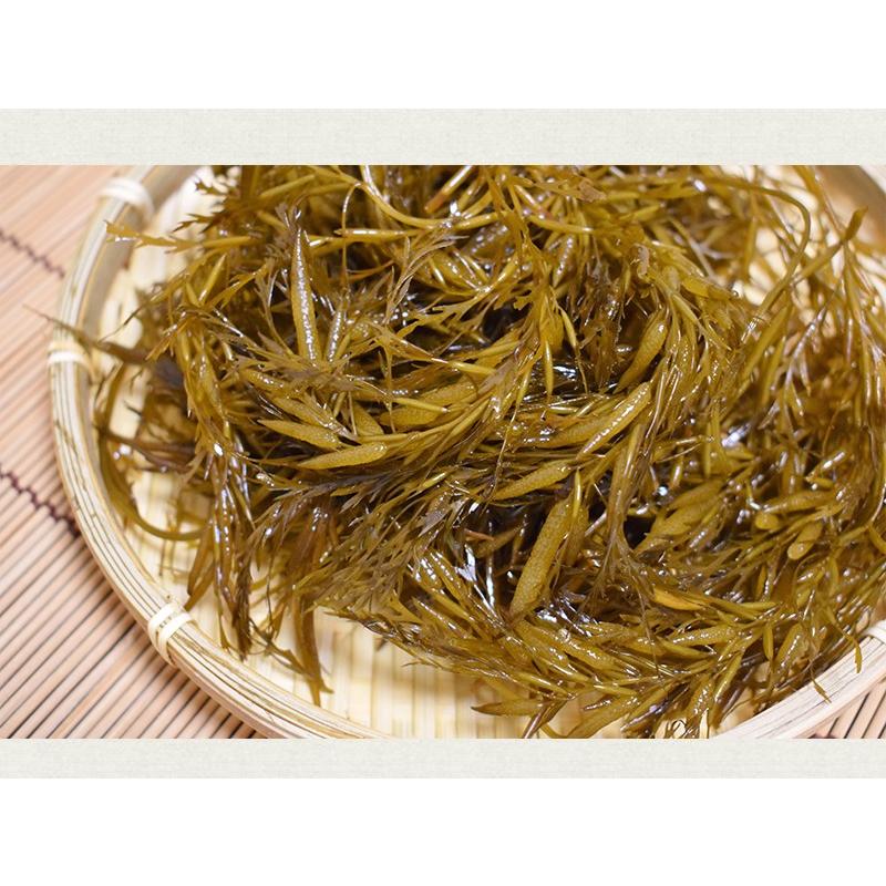 金華山沖 アカモク 100g 5セット 冷凍 無添加 無着色 保存料・化学調味料不使用 海藻 あかもく 歳末 お歳暮 年末グルメ 贈答 迎春 | おさかな問屋 魚奏 | 06
