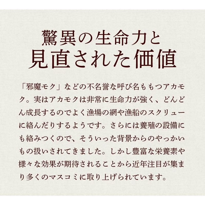 金華山沖 アカモク 100g 15セット 冷凍 無添加 無着色 保存料・化学調味料不使用 海藻 あかもく 歳末 お歳暮 年末グルメ 贈答 迎春 | おさかな問屋 魚奏 | 05