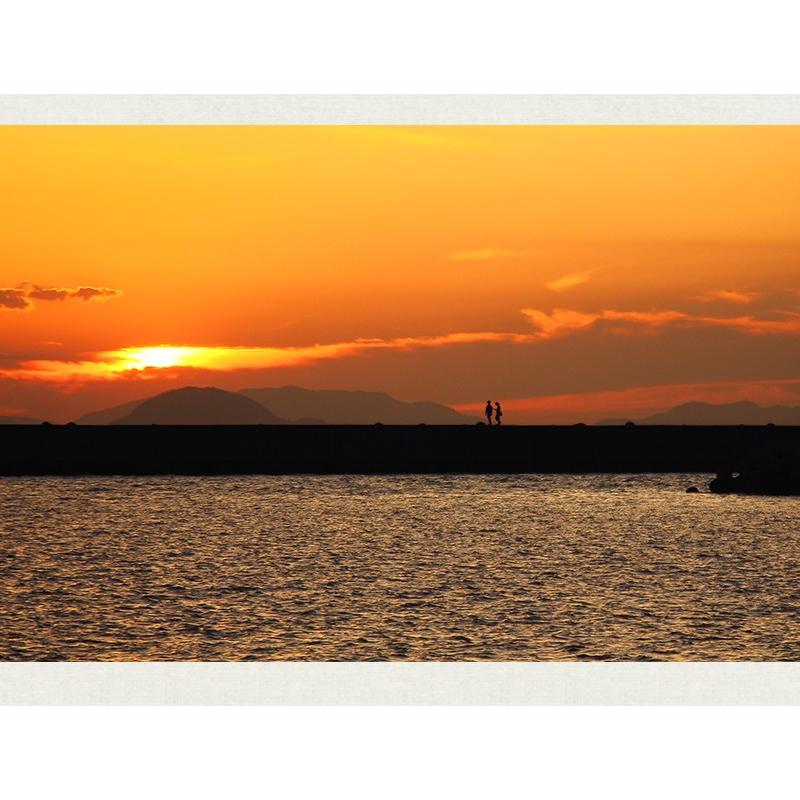 金華山沖 アカモク 100g 25セット 冷凍 無添加 無着色 保存料・化学調味料不使用 海藻 あかもく 歳末 お歳暮 年末グルメ 贈答 迎春 | おさかな問屋 魚奏 | 08