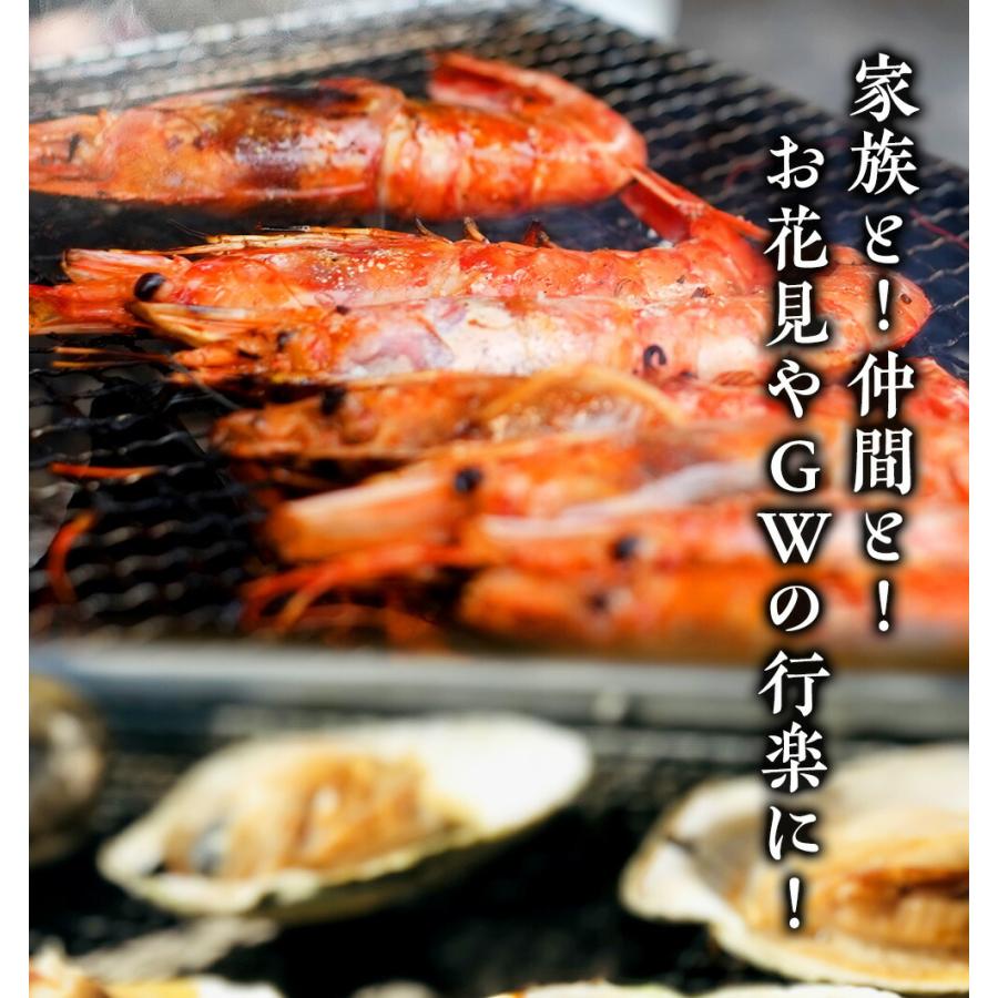 豪華 海鮮 BBQ バーベキューセット 赤エビ 10尾 イカ一夜干し 4枚 殻付き帆立 10枚 在宅 キャンプ 4〜6人分｜uosou｜08