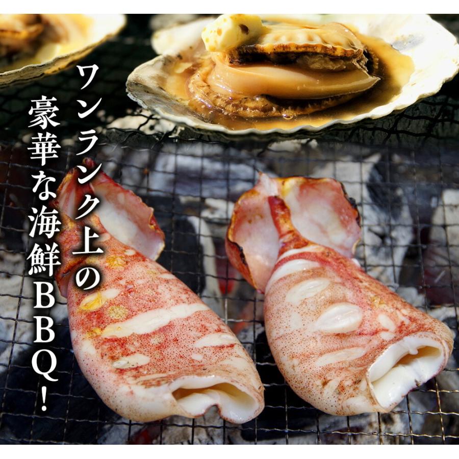 豪華 海鮮 q バーベキューセット 赤エビ 10尾 イカ一夜干し 4枚 殻付き帆立 10枚 在宅 キャンプ 4 6人分 おさかな問屋 魚奏 通販 Yahoo ショッピング