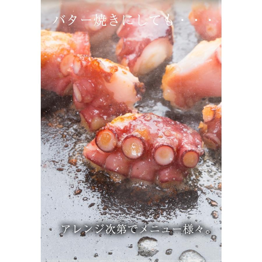 たこ焼用 ボイルカットたこ 大粒5gサイズ 業務用 1kg タコ 蛸 パーティー 歳末 お歳暮 年末グルメ 贈答 迎春 | おさかな問屋 魚奏 | 13