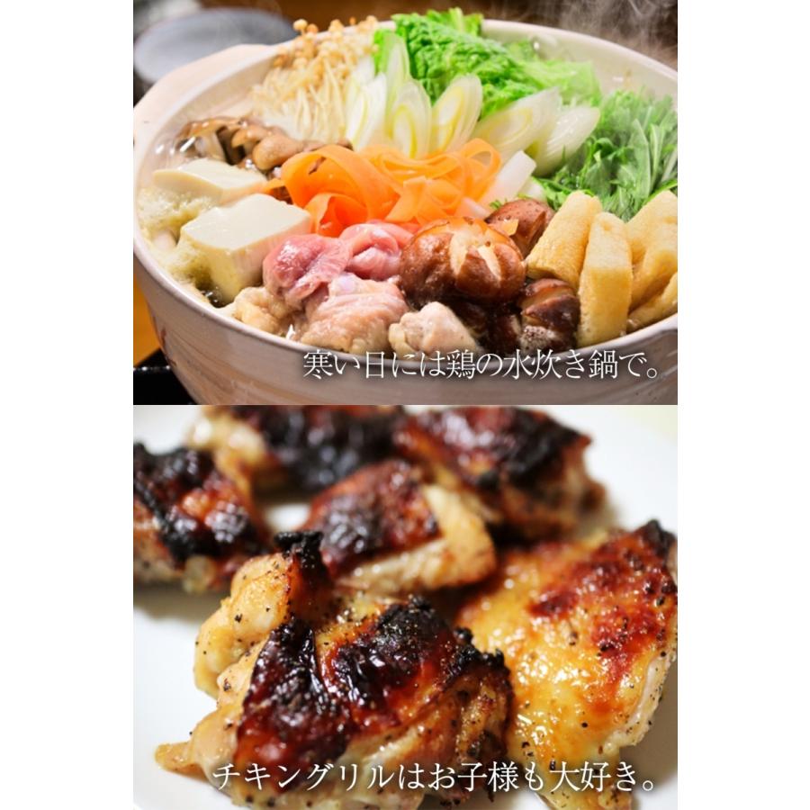 ブラジル産 鶏もも肉 2kg 業務用 徳用 とり トリ 鶏 鶏肉 鳥肉 モモ 腿 同梱推奨 在宅 母の日 歳末 お歳暮 年末グルメ 贈答 迎春 | おさかな問屋 魚奏 | 10