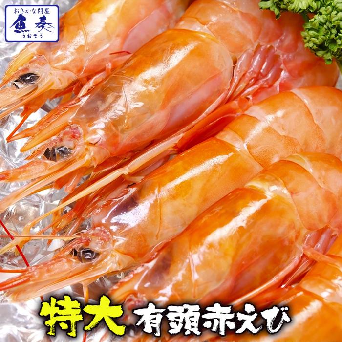 天然 有頭 赤えび 特大サイズ 10尾 赤海老 BBQ 海鮮 在宅 母の日 父の日 敬老 お中元 お歳暮 歳末 お歳暮 年末グルメ 贈答 迎春 | おさかな問屋 魚奏