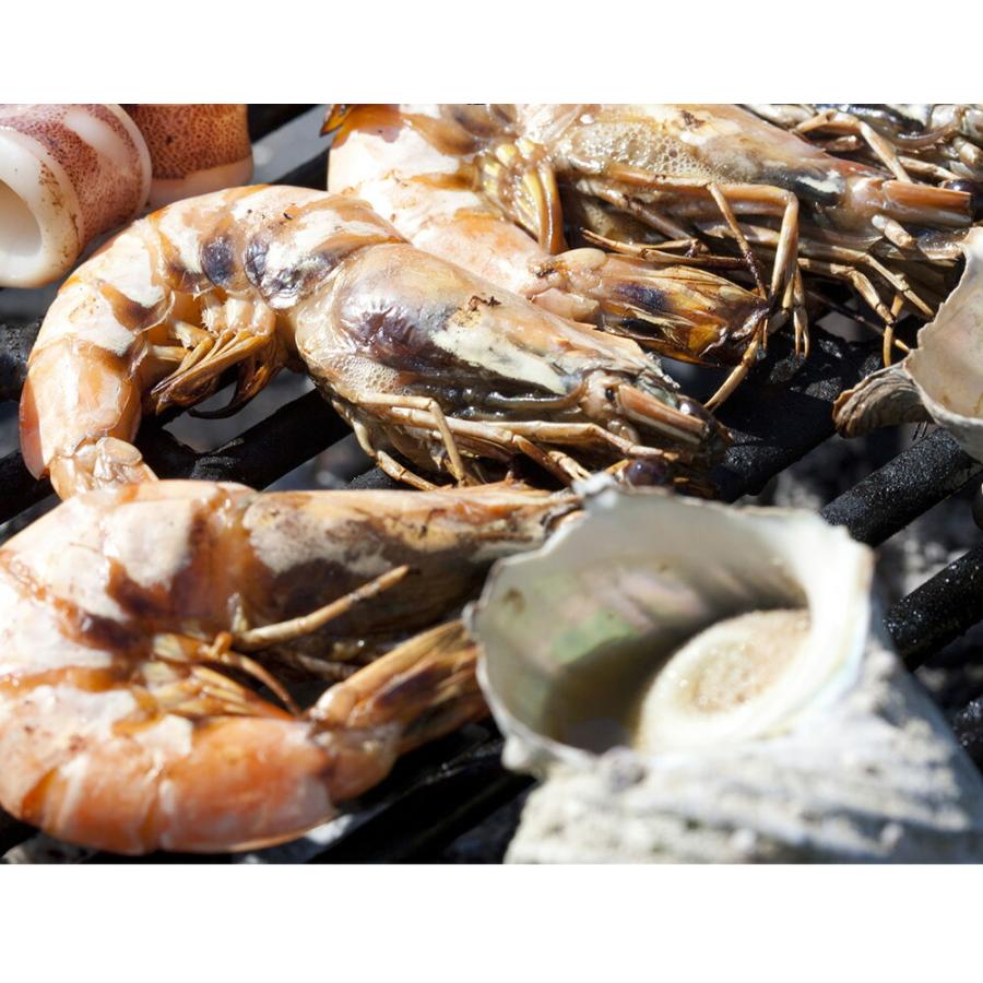 天然 有頭 赤えび 特大サイズ 10尾 赤海老 BBQ 海鮮 在宅 母の日 父の日 敬老 お中元 お歳暮 歳末 お歳暮 年末グルメ 贈答 迎春 | おさかな問屋 魚奏 | 01