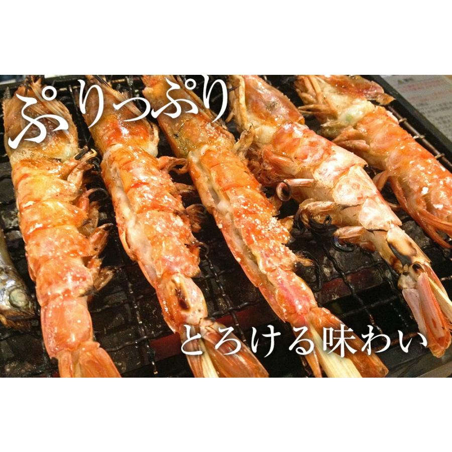 天然 有頭 赤えび 特大サイズ 10尾 赤海老 BBQ 海鮮 在宅 母の日 父の日 敬老 お中元 お歳暮 歳末 お歳暮 年末グルメ 贈答 迎春 | おさかな問屋 魚奏 | 05