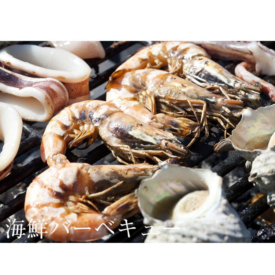 天然 有頭 赤えび 特大サイズ 10尾 赤海老 BBQ 海鮮 在宅 母の日 父の日 敬老 お中元 お歳暮 歳末 お歳暮 年末グルメ 贈答 迎春 | おさかな問屋 魚奏 | 07