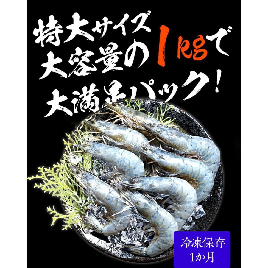 天使の海老 特大サイズ 1kg 海鮮 有頭 特大サイズ 1kg お取り寄せ お試し 世界最高品質 刺身 生食 歳末 お歳暮 年末グルメ 贈答 迎春 | おさかな問屋 魚奏 | 11