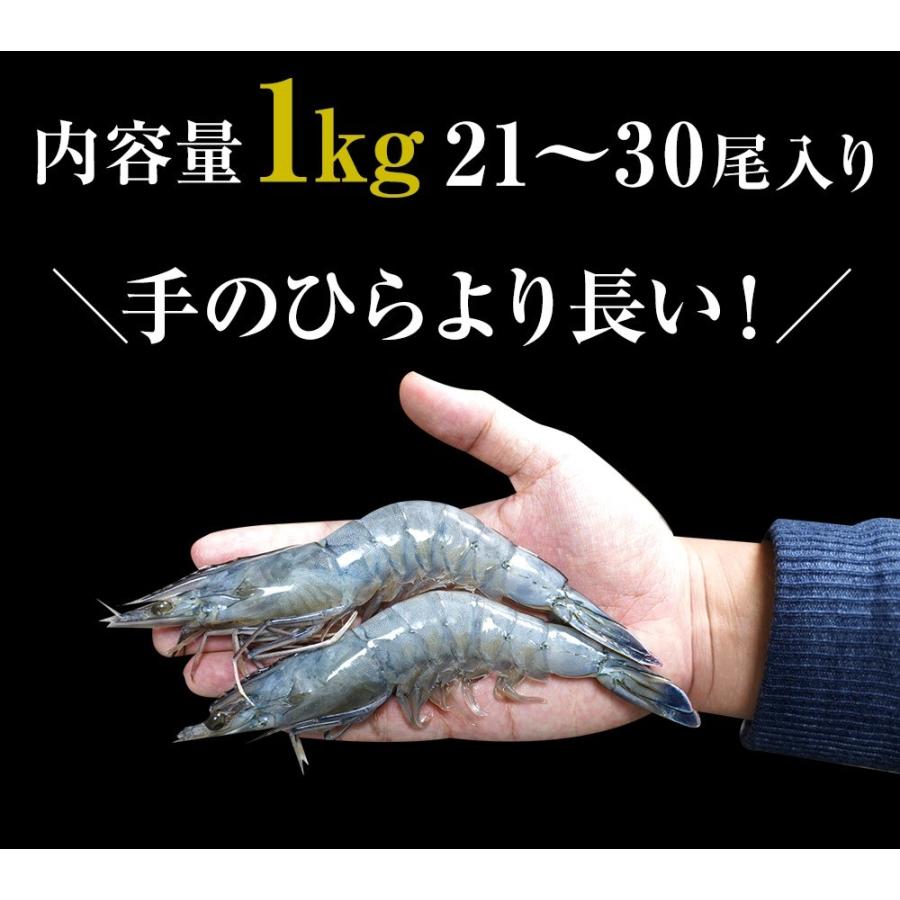 天使の海老 特大サイズ 1kg 海鮮 有頭 特大サイズ 1kg お取り寄せ お試し 世界最高品質 刺身 生食 歳末 お歳暮 年末グルメ 贈答 迎春 | おさかな問屋 魚奏 | 12