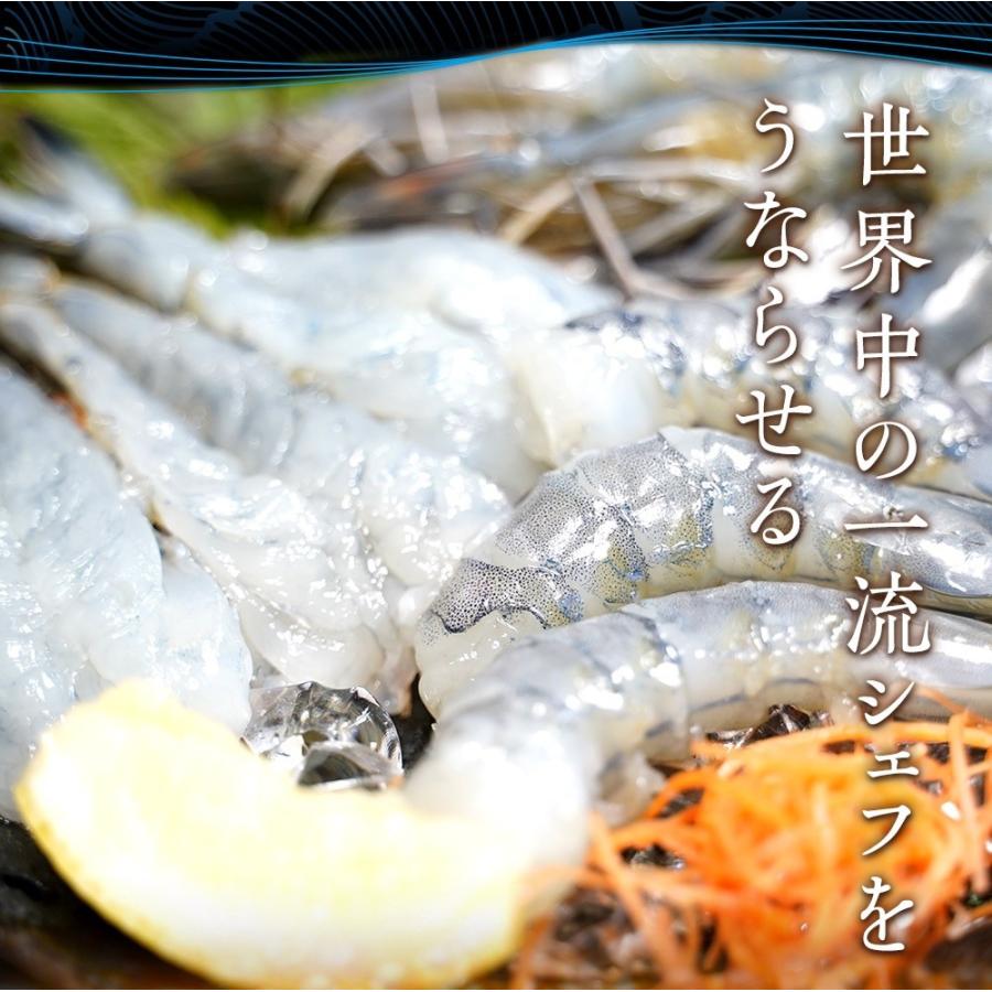 天使の海老 特大サイズ 1kg 海鮮 有頭 特大サイズ 1kg お取り寄せ お試し 世界最高品質 刺身 生食 歳末 お歳暮 年末グルメ 贈答 迎春 | おさかな問屋 魚奏 | 02