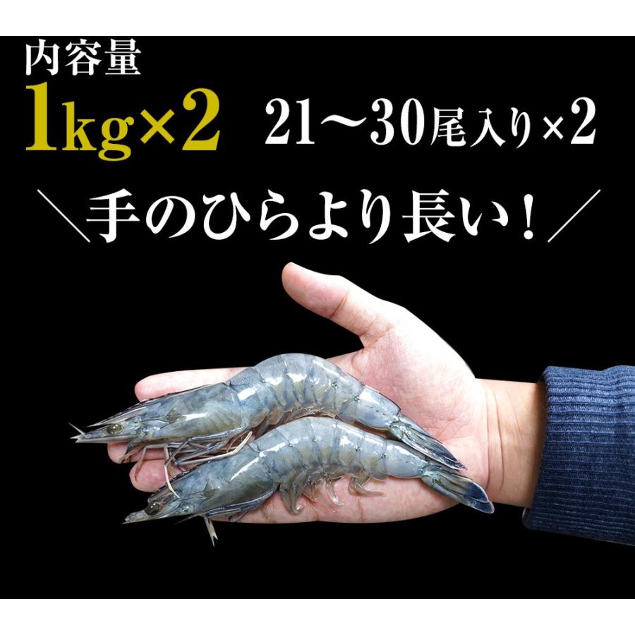 天使の海老 特大サイズ 1kg×2P 海鮮 有頭 特大サイズ お取り寄せ お試し 世界最高品質 刺身 生食 歳末 お歳暮 年末グルメ 贈答 迎春 | おさかな問屋 魚奏 | 13