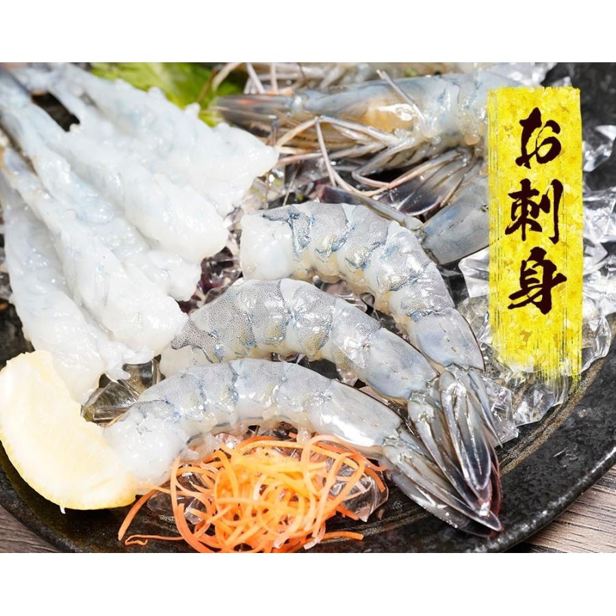 天使の海老 特大サイズ 1kg×2P 海鮮 有頭 特大サイズ お取り寄せ お試し 世界最高品質 刺身 生食 歳末 お歳暮 年末グルメ 贈答 迎春 | おさかな問屋 魚奏 | 16