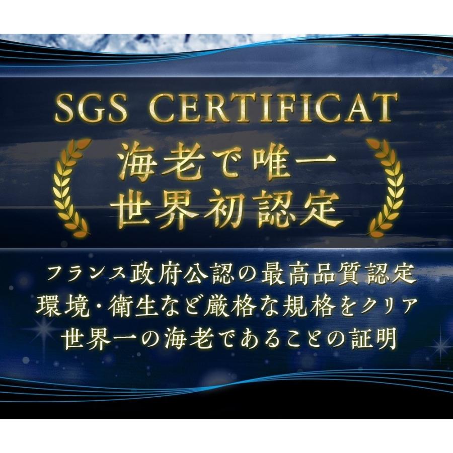天使の海老 特大サイズ 1kg×2P 海鮮 有頭 特大サイズ お取り寄せ お試し 世界最高品質 刺身 生食 歳末 お歳暮 年末グルメ 贈答 迎春 | おさかな問屋 魚奏 | 06