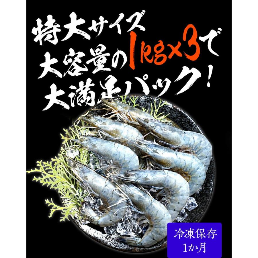 天使の海老 特大サイズ 1kg×3P 海鮮 有頭 特大サイズ お取り寄せ お試し 世界最高品質 刺身 生食 歳末 お歳暮 年末グルメ 贈答 迎春 | おさかな問屋 魚奏 | 11