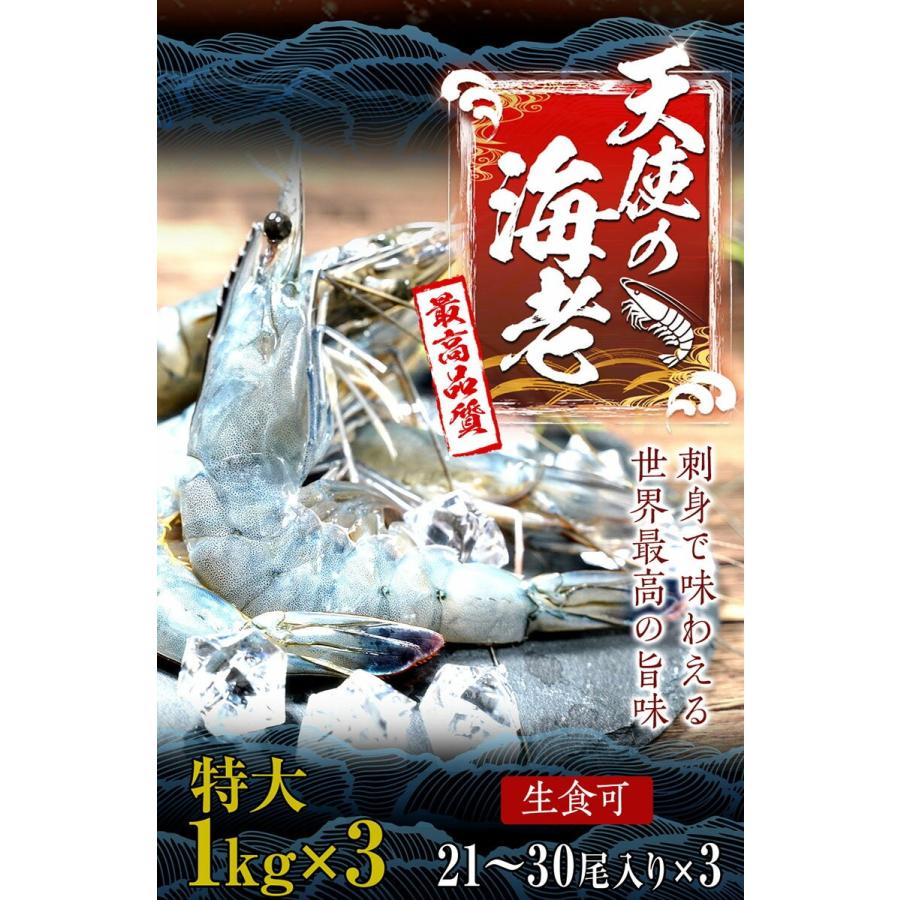 天使の海老 特大サイズ 1kg×3P 海鮮 有頭 特大サイズ お取り寄せ お試し 世界最高品質 刺身 生食 歳末 お歳暮 年末グルメ 贈答 迎春 | おさかな問屋 魚奏 | 01