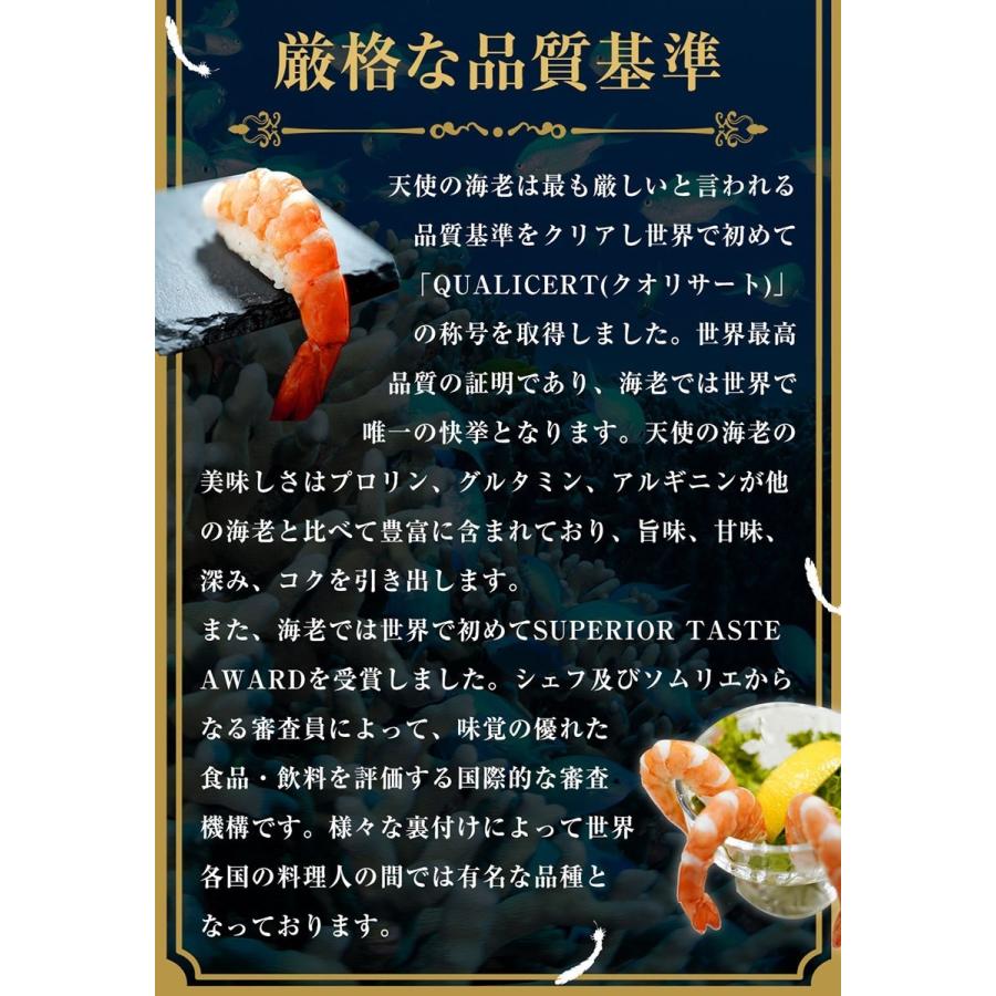 天使の海老 特大サイズ 1kg×3P 海鮮 有頭 特大サイズ お取り寄せ お試し 世界最高品質 刺身 生食 歳末 お歳暮 年末グルメ 贈答 迎春 | おさかな問屋 魚奏 | 07