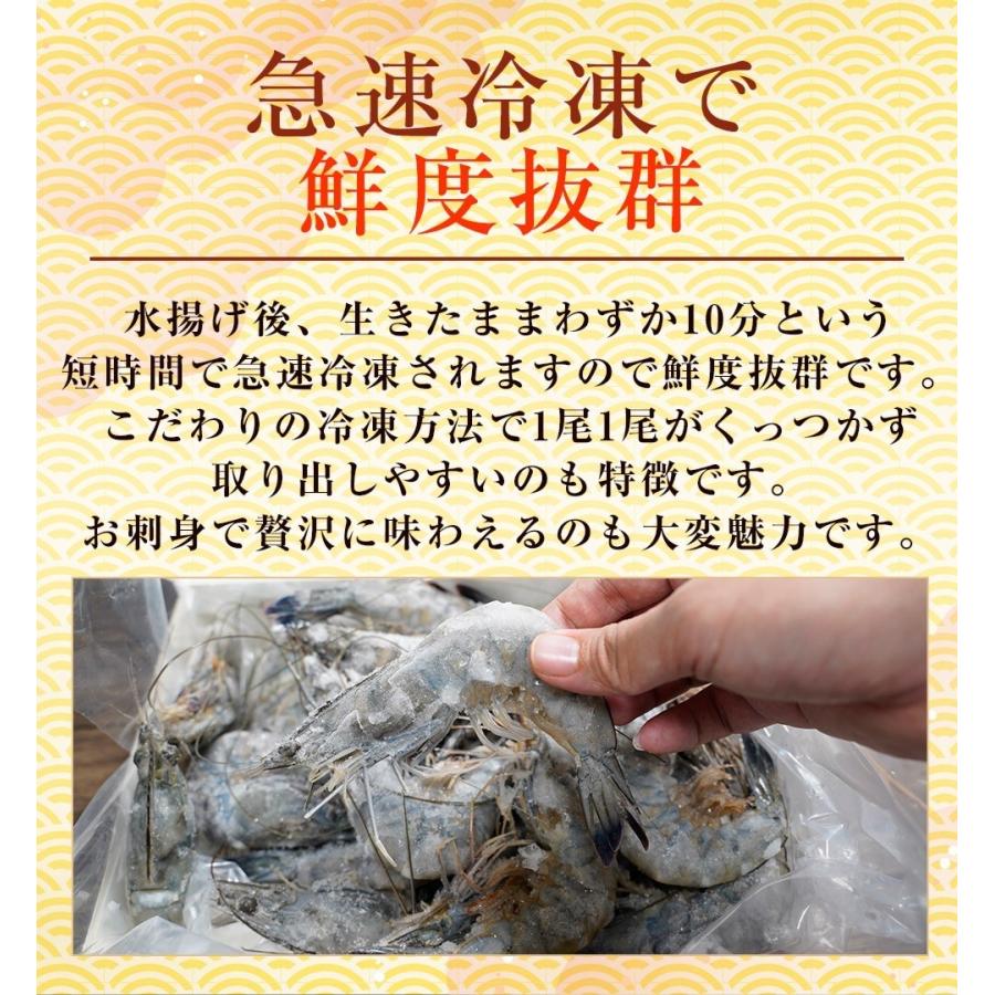 天使の海老 特大サイズ 1kg 最安値挑戦中 海鮮 有頭 特大サイズ 1kg お取り寄せ お試し 世界最高品質 歳末 お歳暮 年末グルメ 贈答 迎春 | おさかな問屋 魚奏 | 10
