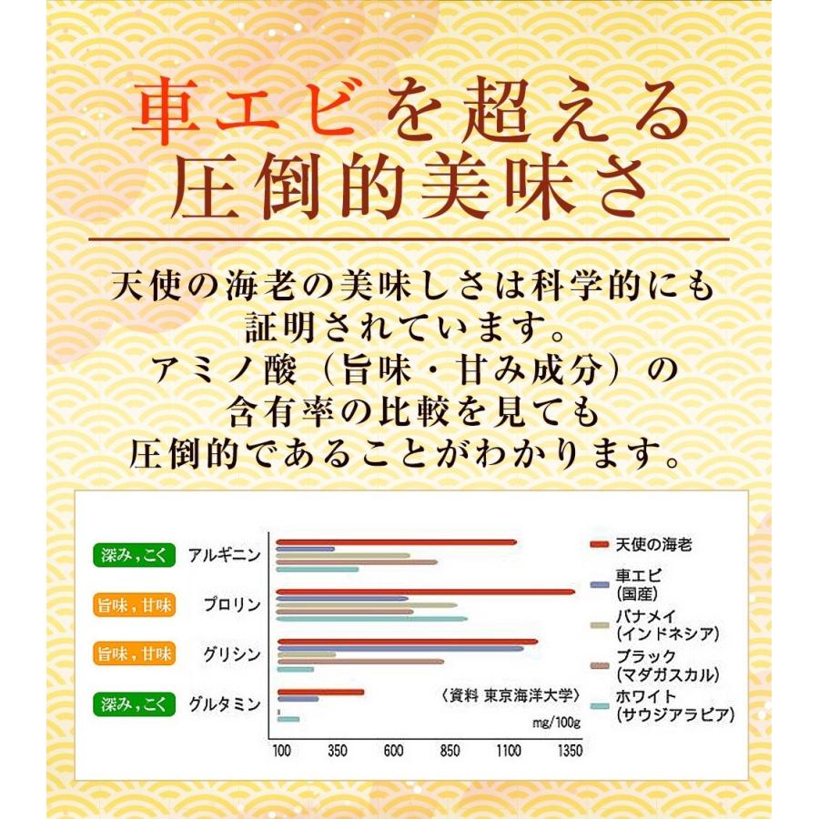 天使の海老 特大サイズ 1kg 最安値挑戦中 海鮮 有頭 特大サイズ 1kg お取り寄せ お試し 世界最高品質 歳末 お歳暮 年末グルメ 贈答 迎春 | おさかな問屋 魚奏 | 08