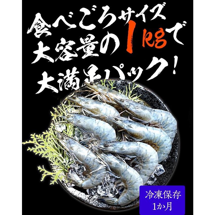 天使の海老 大サイズ1kg 海鮮 有頭 食べごろサイズ お取り寄せ お試し 世界最高品質 刺身 生食 歳末 お歳暮 年末グルメ 贈答 迎春 | おさかな問屋 魚奏 | 11
