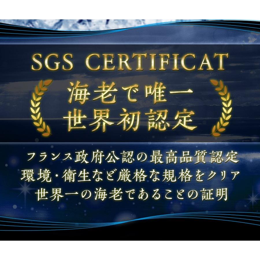 天使の海老 大サイズ1kg 海鮮 有頭 食べごろサイズ お取り寄せ お試し 世界最高品質 刺身 生食 歳末 お歳暮 年末グルメ 贈答 迎春 | おさかな問屋 魚奏 | 05