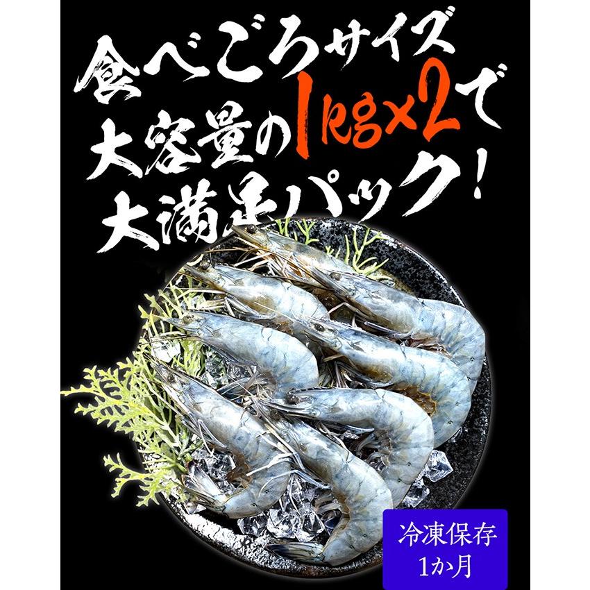 天使の海老 大サイズ2kg 海鮮 有頭 食べごろサイズ お取り寄せ お試し 世界最高品質 刺身 生食 歳末 お歳暮 年末グルメ 贈答 迎春 | おさかな問屋 魚奏 | 11