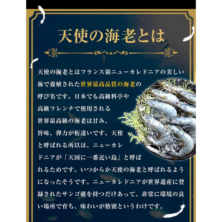 天使の海老 大サイズ2kg 海鮮 有頭 食べごろサイズ お取り寄せ お試し 世界最高品質 刺身 生食 歳末 お歳暮 年末グルメ 贈答 迎春 | おさかな問屋 魚奏 | 06